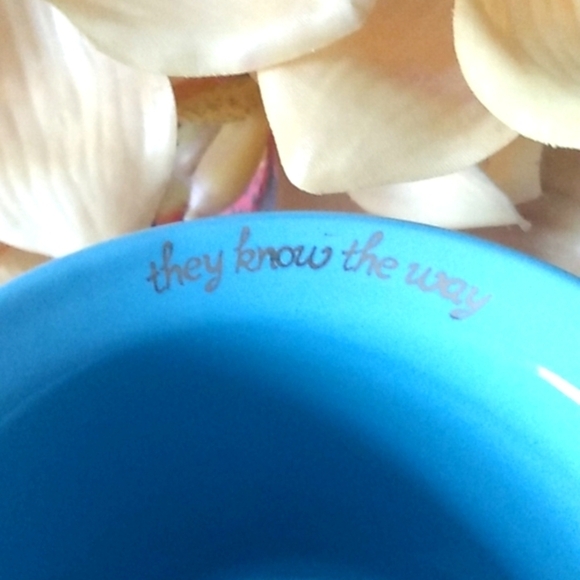 BOSTON WAREHOUSE FOLLOW YOUR DREAMS INSPIRATIONAL COFFEE MUG SIZE 16oz NWT - Picture 2 of 9